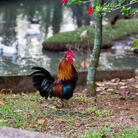 Polo Hotel Fazenda Индаятуба Экстерьер фото